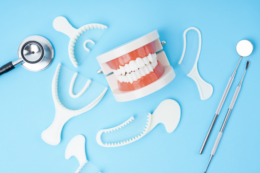 Teeth model and instrument dental on blue background.